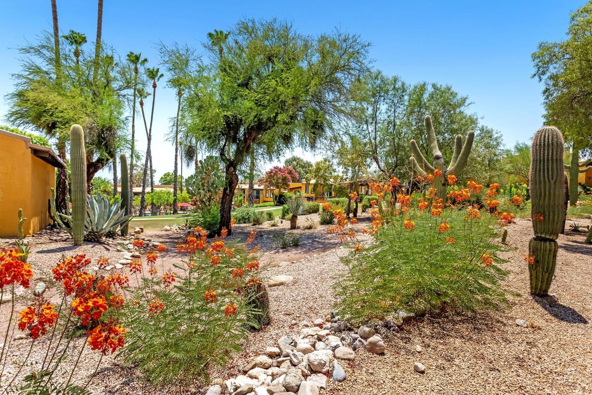 Resort Westward Look Wyndham Grand & Casas Adobes